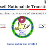 screenshot-conseilnationaldetransition.fr-2022.10.04-10_54_40