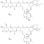 Ivermectin_skeletal